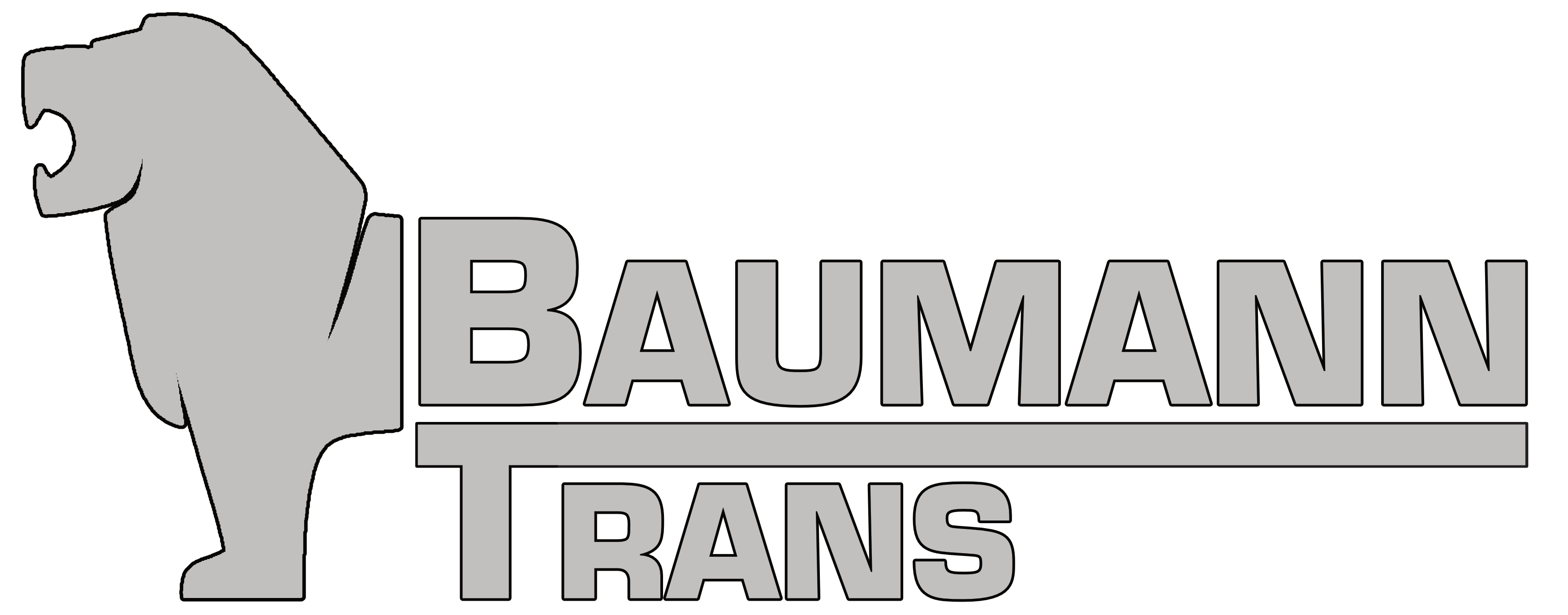 BaumannTrans Logo